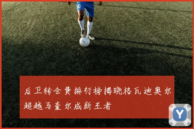 后卫转会费排行榜揭晓格瓦迪奥尔超越马奎尔成新王者